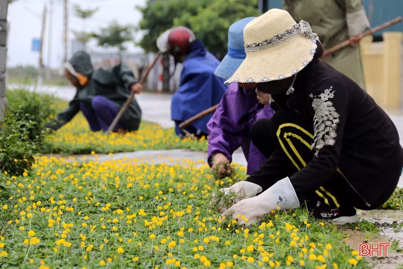 “60 ngày cao điểm xây dựng nông thôn mới” ở xã biển Kỳ Anh