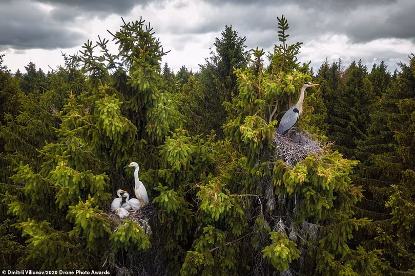 Mê mẩn những tác phẩm đoạt giải Drone Photo Awards 2020