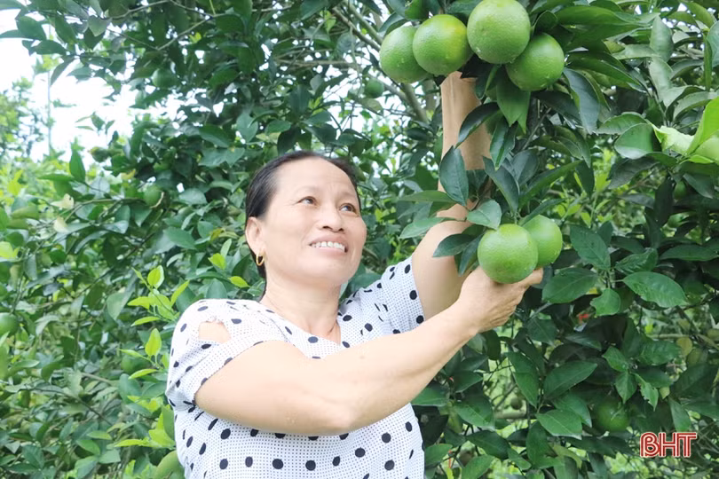 Cặp vợ chồng bắt đất “nhả vàng” ở huyện miền núi Hà Tĩnh