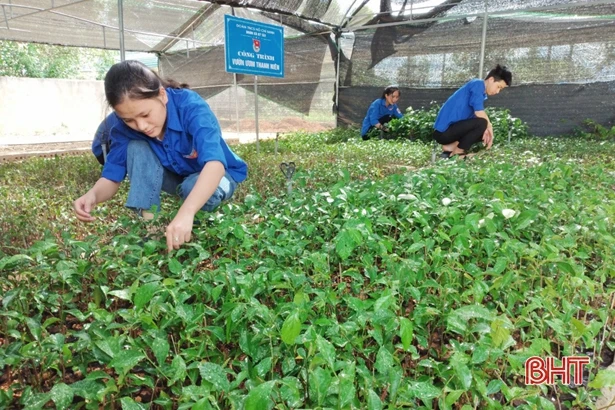 Tuổi trẻ Hà Tĩnh năng động, sáng tạo trong các phong trào tình nguyện
