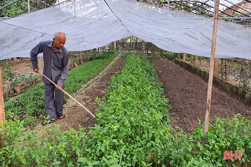 Kỳ Châu đẹp hơn khi tiến gần xã nông thôn mới nâng cao