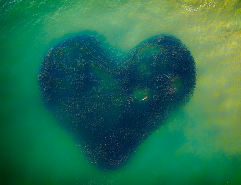 chụp ảnh flycam ảnh 11 Cảnh Việt Nam vào top cuộc thi ảnh trên cao