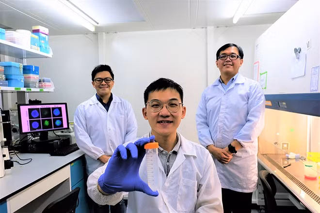 Điều trị ung thư ảnh 1 Singapore tìm ra cách tiêu diệt tế bào ung thư không cần dùng thuốc