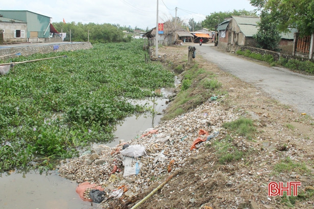 Vỏ ngao, hến ngổn ngang khắp bờ đê, khu dân cư ở Lộc Hà