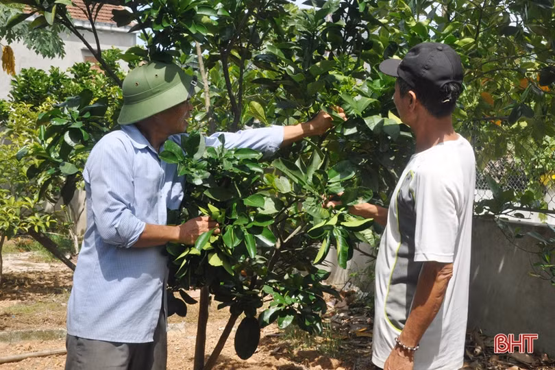 Làm theo lời Bác, người trưởng thôn “đem tài dân, sức dân, của dân để làm lợi cho dân”