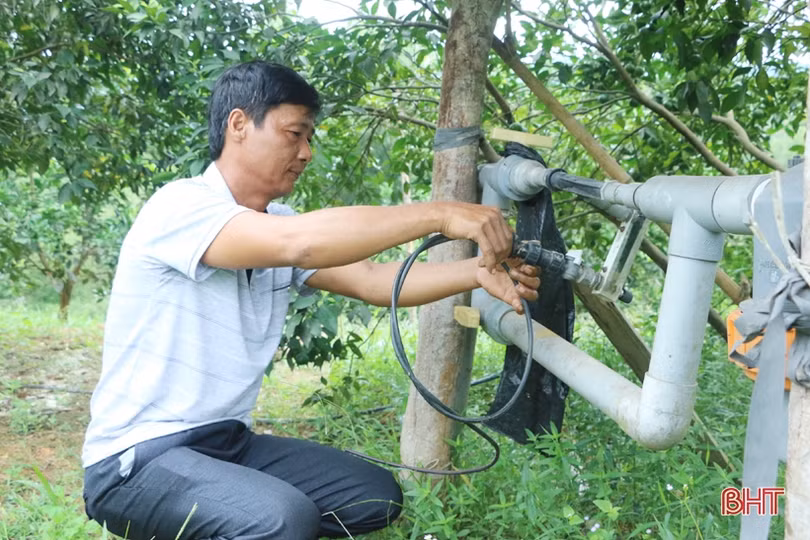 Cặp vợ chồng bắt đất “nhả vàng” ở huyện miền núi Hà Tĩnh