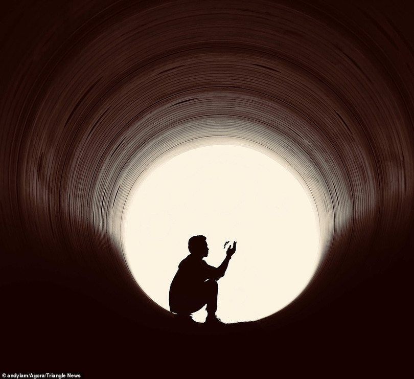 Loạt tác phẩm ấn tượng trong cuộc thi ảnh quốc tế Peace 2020 của Agora