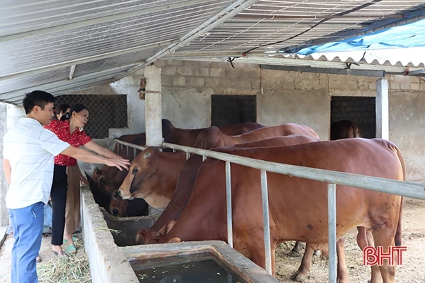 Quỹ Hỗ trợ nông dân – điểm tựa cho nhà nông xứ Cẩm