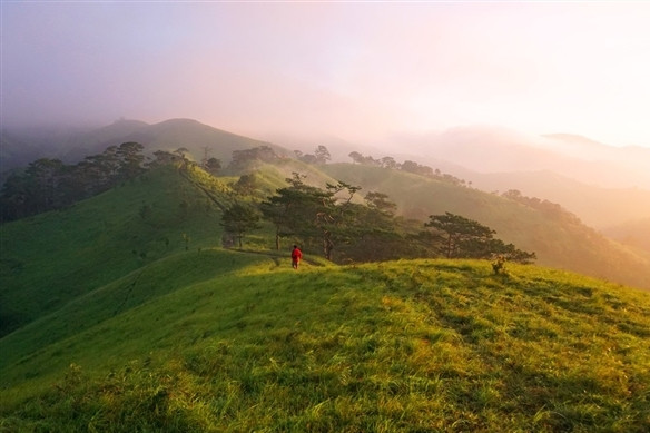 cung duong dep hiem co me hoac gioi tre khap viet nam