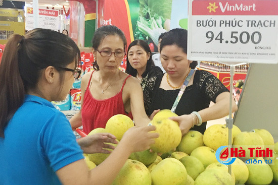 buoi phuc trach ha tinh len ke vinmart ha noi