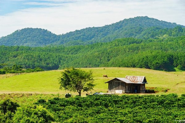 cung duong dep hiem co me hoac gioi tre khap viet nam