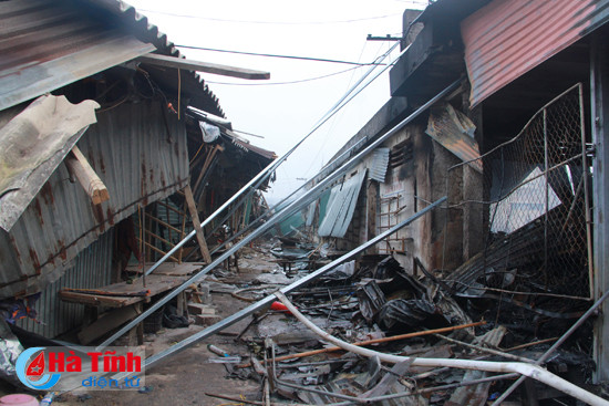 cho son tan hoang sau dem chim trong bien lua