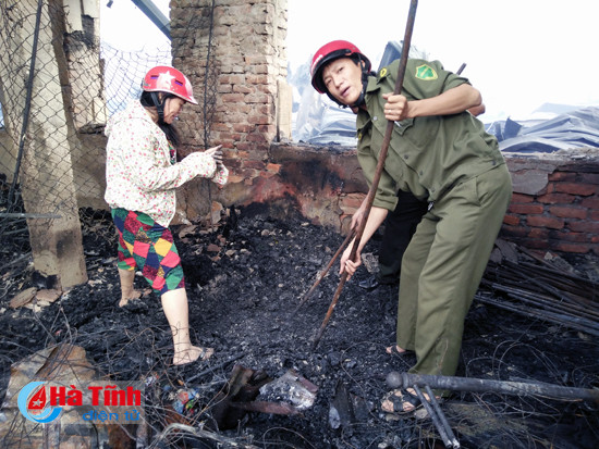 cho son tan hoang sau dem chim trong bien lua