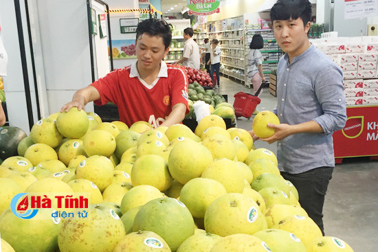 buoi phuc trach ha tinh len ke vinmart ha noi