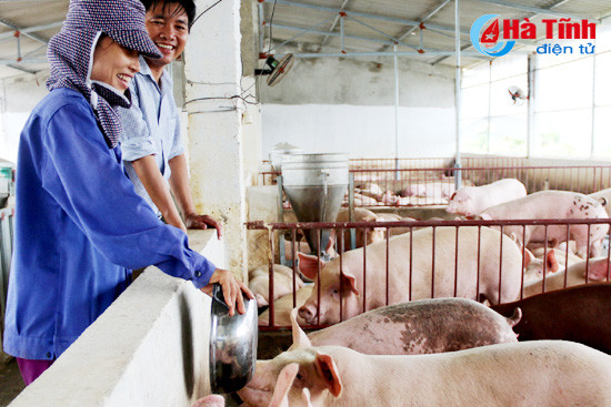 tai co cau nong nghiep o can loc hua hen tu qua buoi cay cam