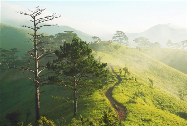 cung duong dep hiem co me hoac gioi tre khap viet nam