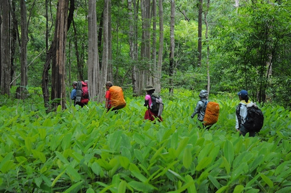 cung duong dep hiem co me hoac gioi tre khap viet nam