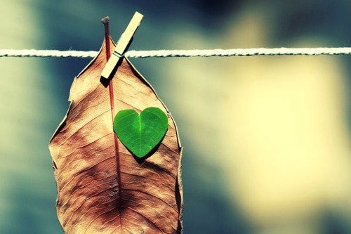 bay gio chua phai luc de minh yeu nhau