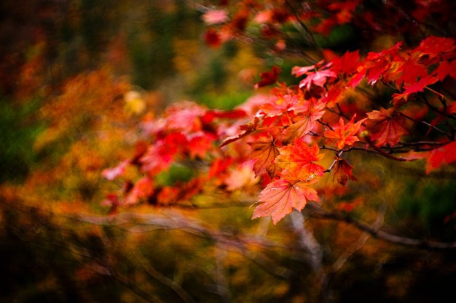 10 diem du lich nuoc ngoai duoc long khach viet vao mua thu