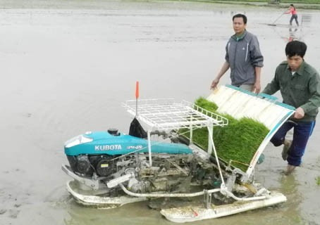 Nhiều địa phương bắt đầu tổ chức Lễ tịch điền đầu xuân mới