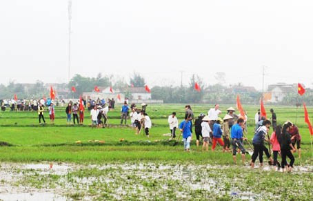 ... và đào đắp đất làm giao thông nội đồng