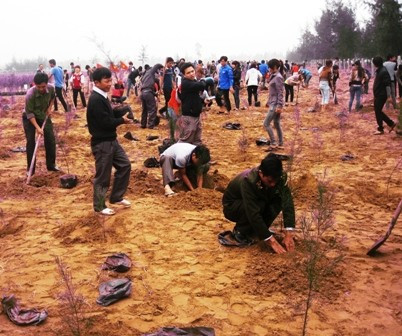 Đông đảo các tầng lớp nhân dân tham gia trồng cây đầu năm