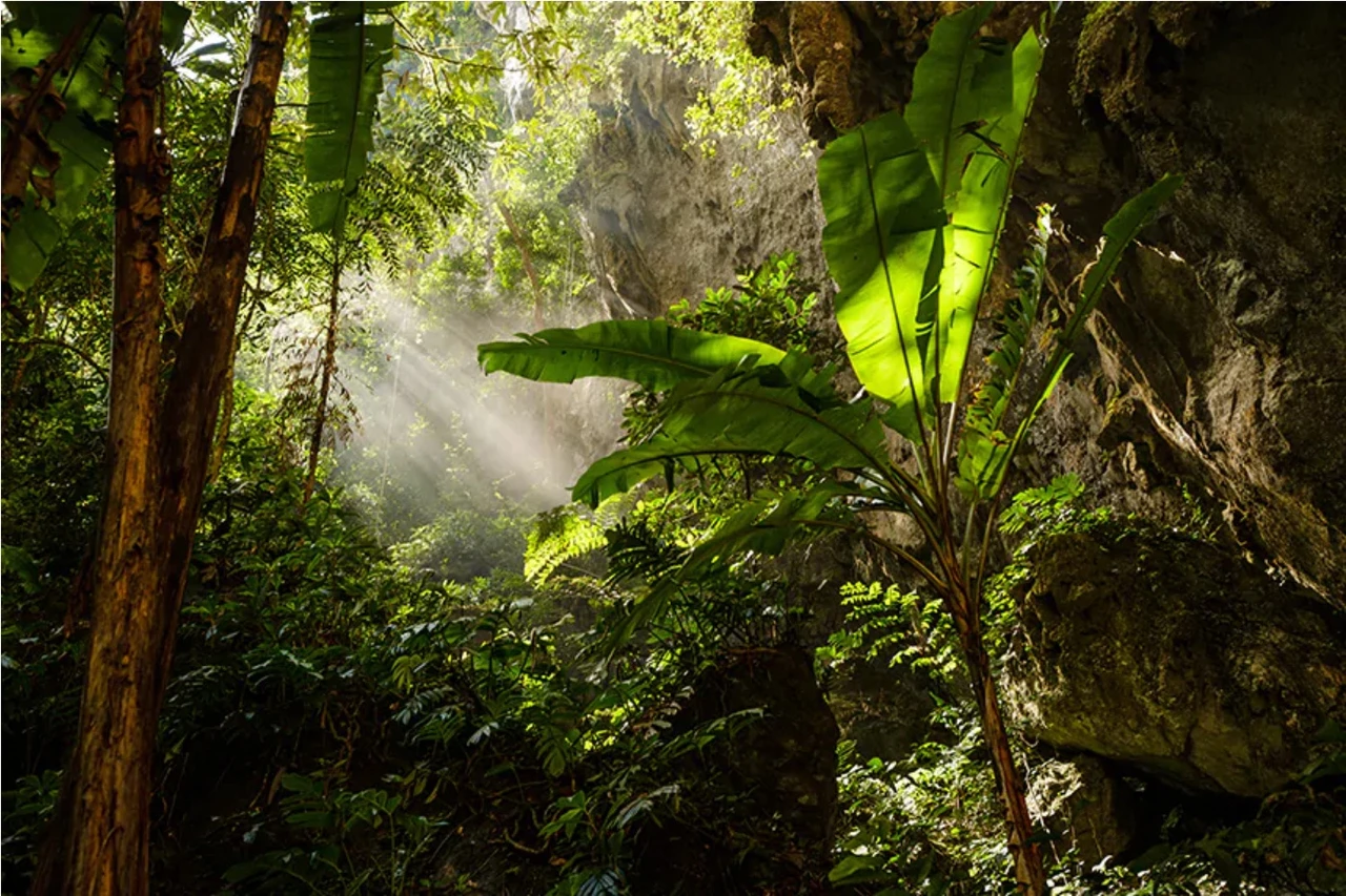 xu so than tien duoi long dat o viet nam