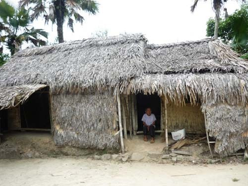 Bao năm nay, cụ Vượng vẫn phải sống trong túp lều tranh, vách đất này.