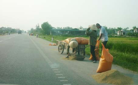 ... mai ra phơi nữa