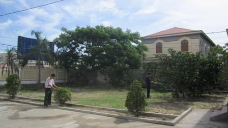 Cán bộ chiến sỹ BCHQS huyện Nghi Xuân chăm sóc cây xanh Cán bộ chiến sỹ BCHQS huyện Nghi Xuân chăm sóc cây xanh