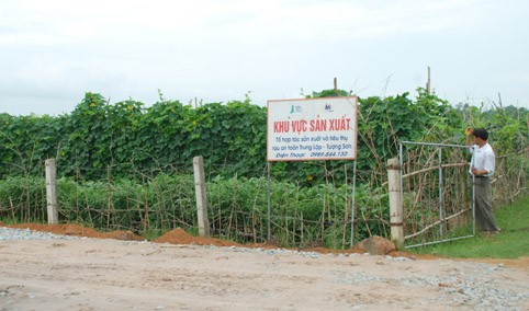 Mô hình tổ hợp tác sản xuất rau an toàn xã Tượng Sơn, huyện Thạch Hà do dự án IMPP hỗ trợ. Ảnh: Xuân Hòa Mô hình tổ hợp tác sản xuất rau an toàn xã Tượng Sơn, huyện Thạch Hà do dự án IMPP hỗ trợ. Ảnh: Xuân Hòa