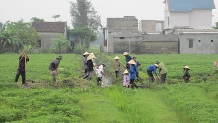 Phụ nữ xã Thạch Quý (thành phố Hà Tĩnh) khơi thông kênh mương thoát nước