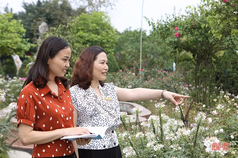 Đường đến danh hiệu Nhà giáo ưu tú của cô hiệu trưởng trường tiểu học ở Hà Tĩnh