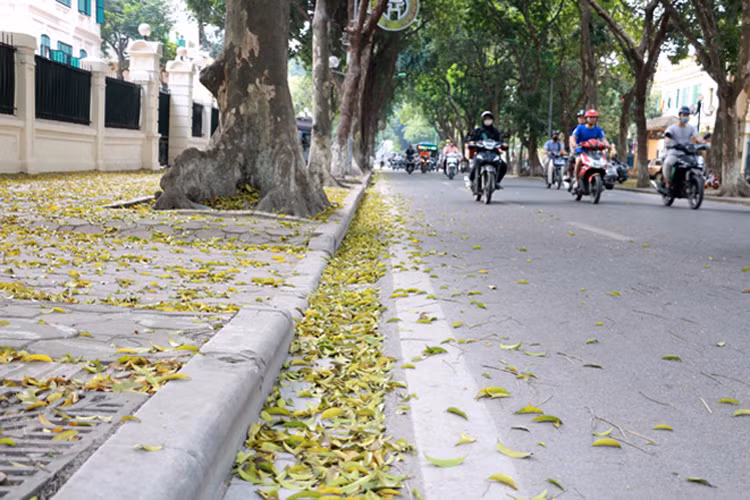Từ Thanh Hóa đến Thừa Thiên - Huế nhiều mây, có mưa vài nơi 