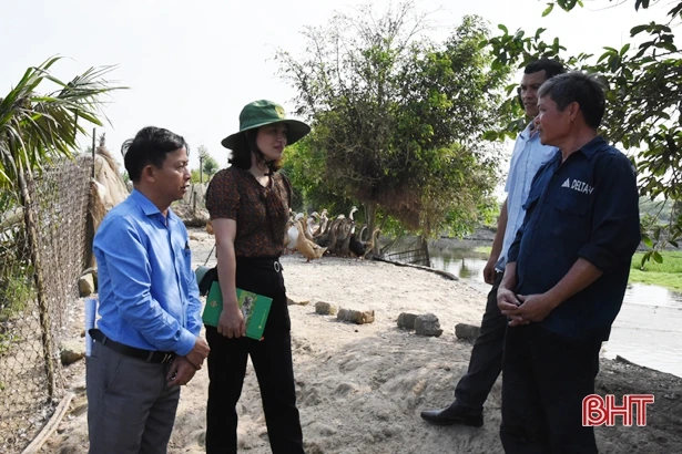 Nông dân Lộc Hà xây dựng 549 mô hình kinh tế cho thu nhập cao