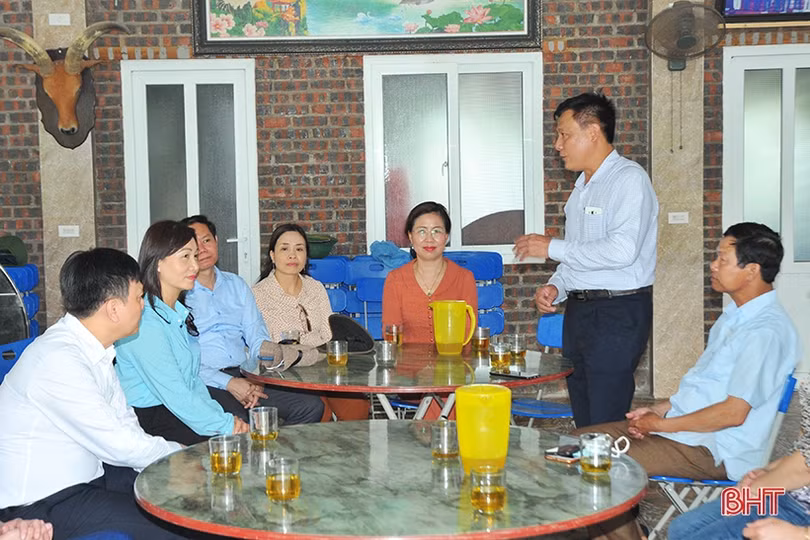 Các mô hình kinh tế ở Hà Tĩnh cần hướng tới liên kết chuỗi trong sản xuất