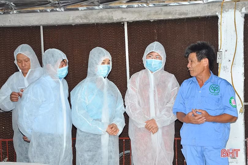 Các mô hình kinh tế ở Hà Tĩnh cần hướng tới liên kết chuỗi trong sản xuất