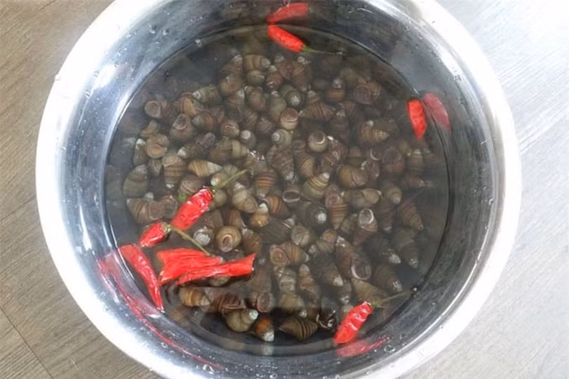 5 điều cấm kỵ khi ăn ốc nhiều người vẫn hay phạm phải