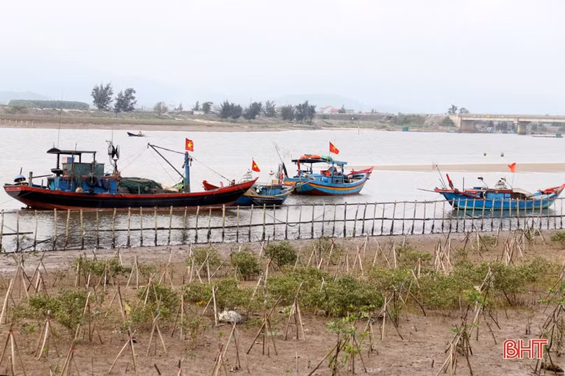 Khám phá lễ cầu ngư của làng chài ven biển Hà Tĩnh