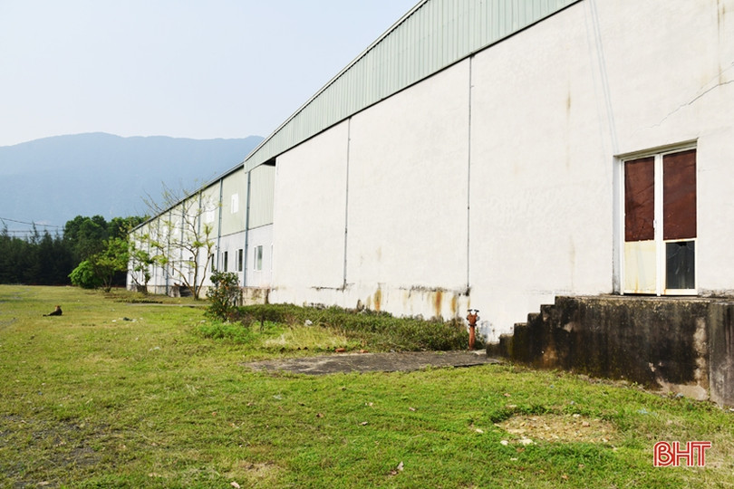 Nhà máy chế biến súc sản ở thị xã Kỳ Anh “đắp chiếu”