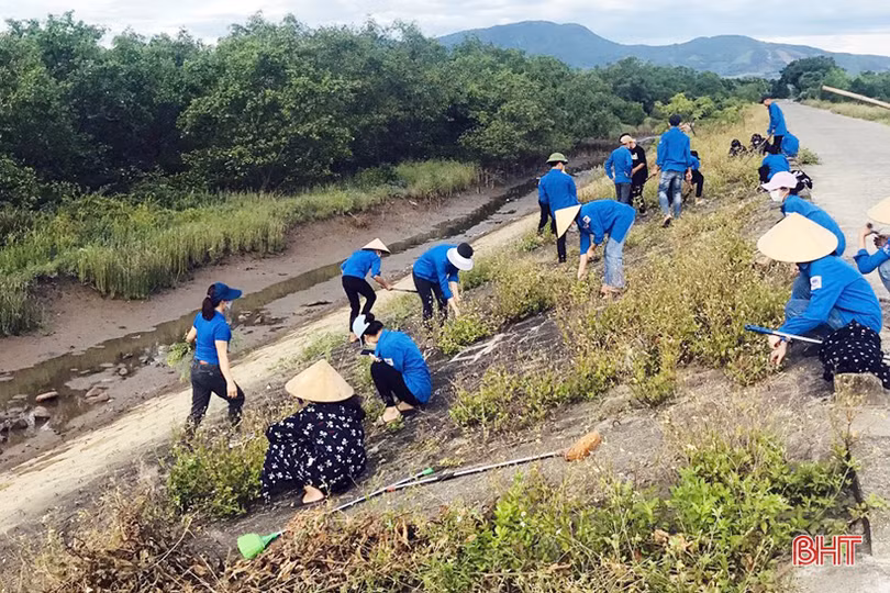 Các địa phương, đơn vị ở Hà Tĩnh tích cực hưởng ứng Ngày Môi trường thế giới