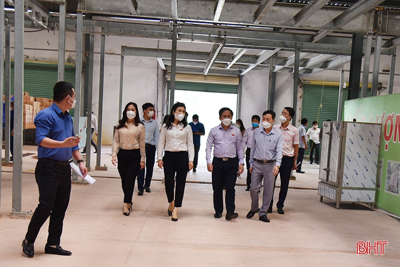 Nhà máy chế biến súc sản ở thị xã Kỳ Anh “đắp chiếu”