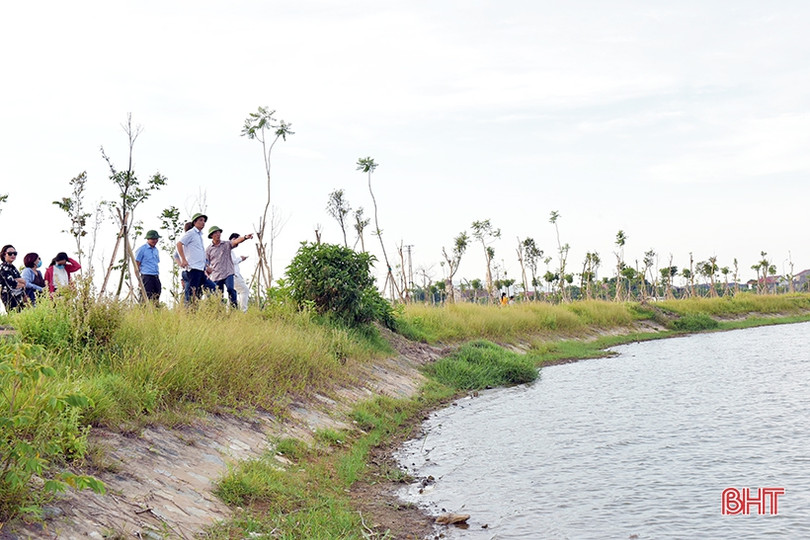 Đoàn công tác ADB khảo sát thực địa phát triển đô thị thích ứng biến đổi khí hậu