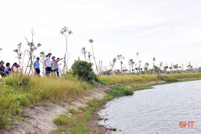 Đoàn công tác ADB khảo sát thực địa phát triển đô thị thích ứng biến đổi khí hậu
