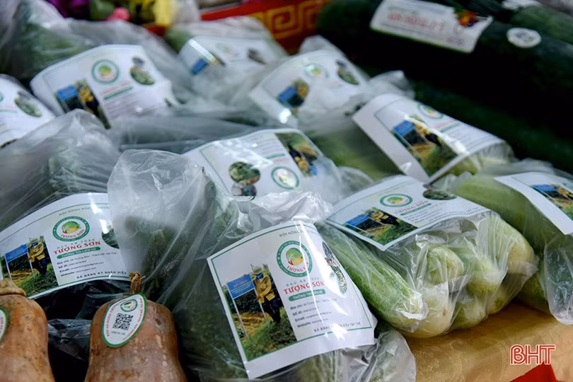 Nông sản Tượng Sơn được đăng ký nhãn hiệu tập thể