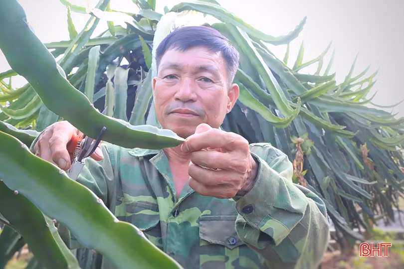 Người cựu binh Hà Tĩnh “vượt khó” làm kinh tế, tích cực đóng góp cho phong trào