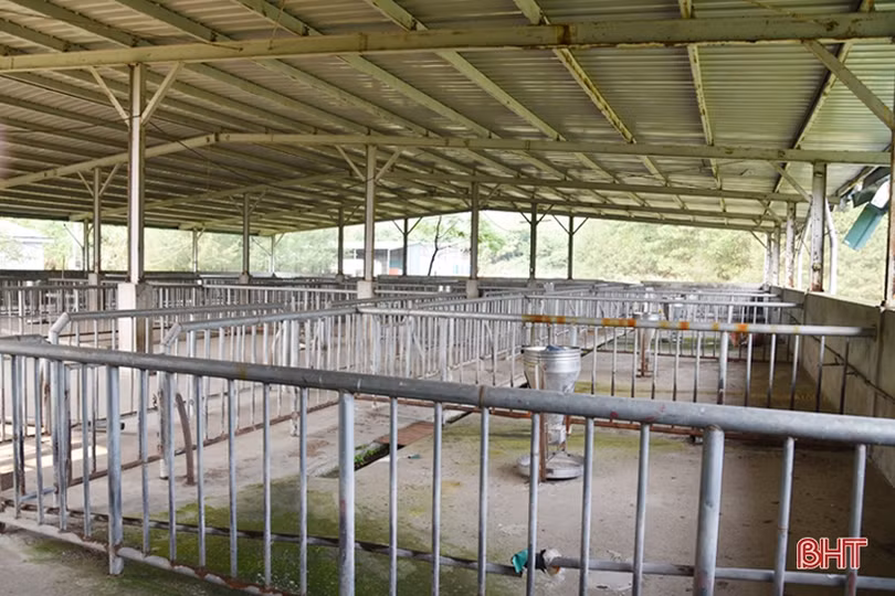 Nhà máy chế biến súc sản ở thị xã Kỳ Anh “đắp chiếu”