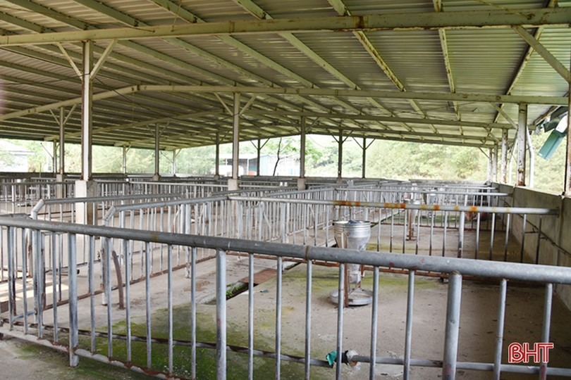 Nhà máy chế biến súc sản ở thị xã Kỳ Anh “đắp chiếu”