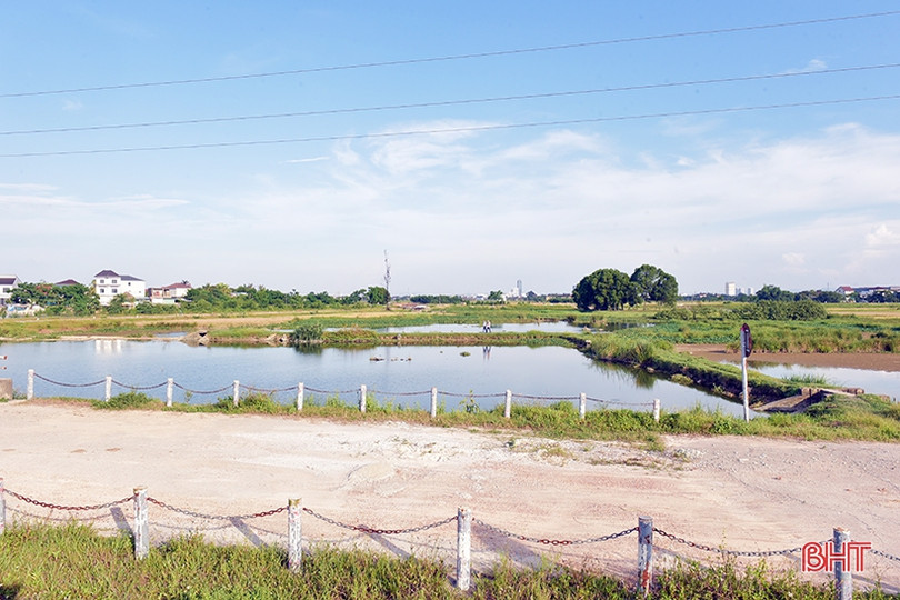 Đoàn công tác ADB khảo sát thực địa phát triển đô thị thích ứng biến đổi khí hậu