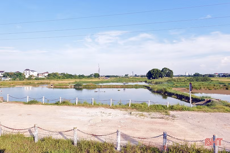 Đoàn công tác ADB khảo sát thực địa phát triển đô thị thích ứng biến đổi khí hậu